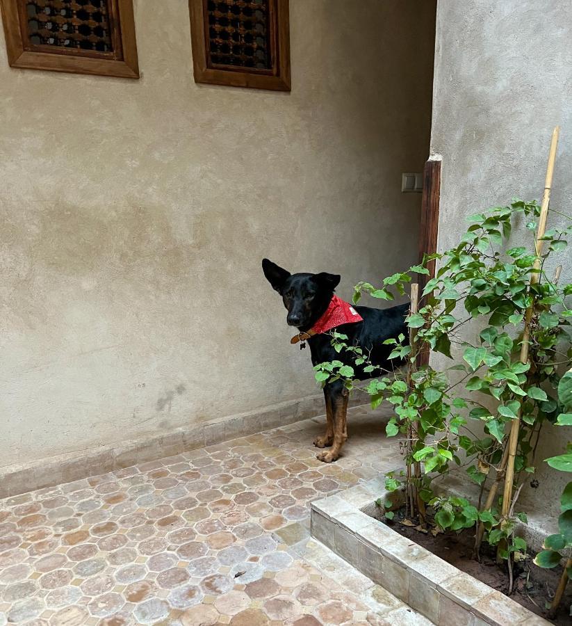 Riad Alena Marraquexe Exterior foto